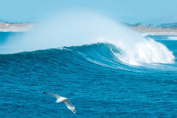 Jædaren – Surfesesongen er definitivt i gang