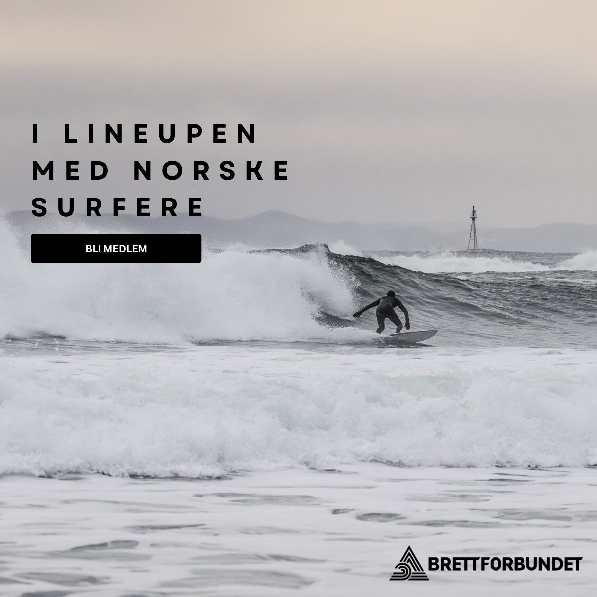 Brettforbundet - Bli medlem