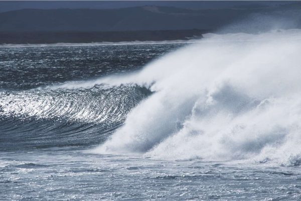 Jbay baby – Kaldt vann, kriminalitet og frykten for hai