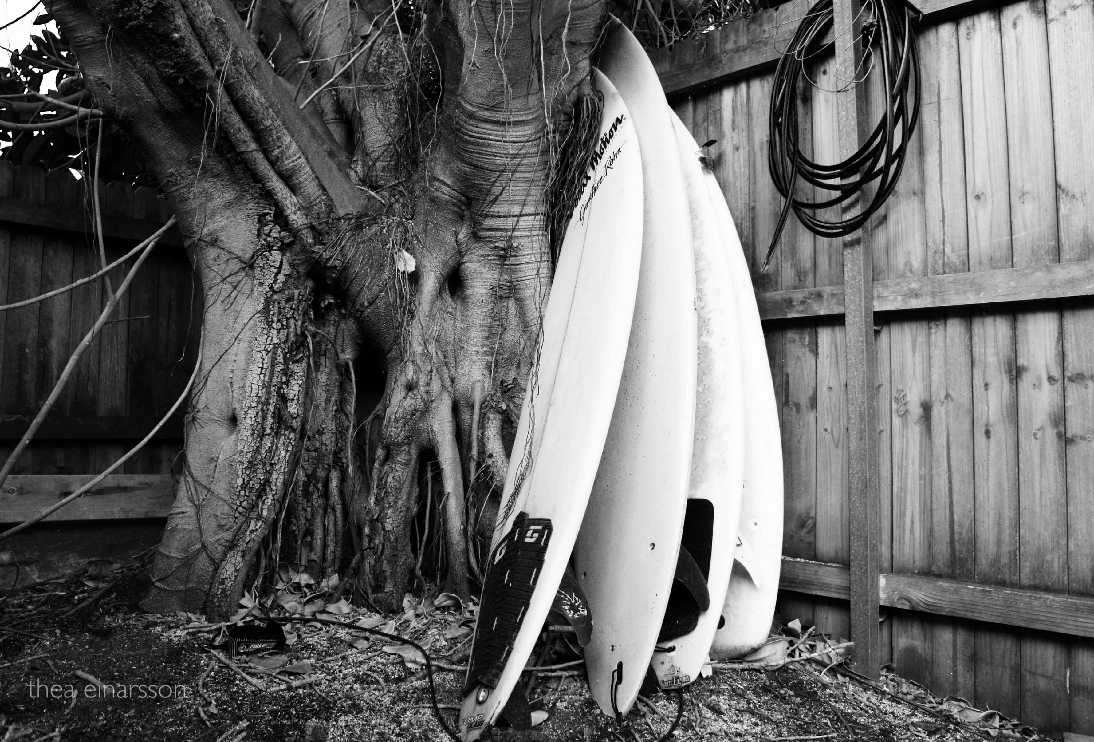 Surfebrett i en av Bondi's bakgårder