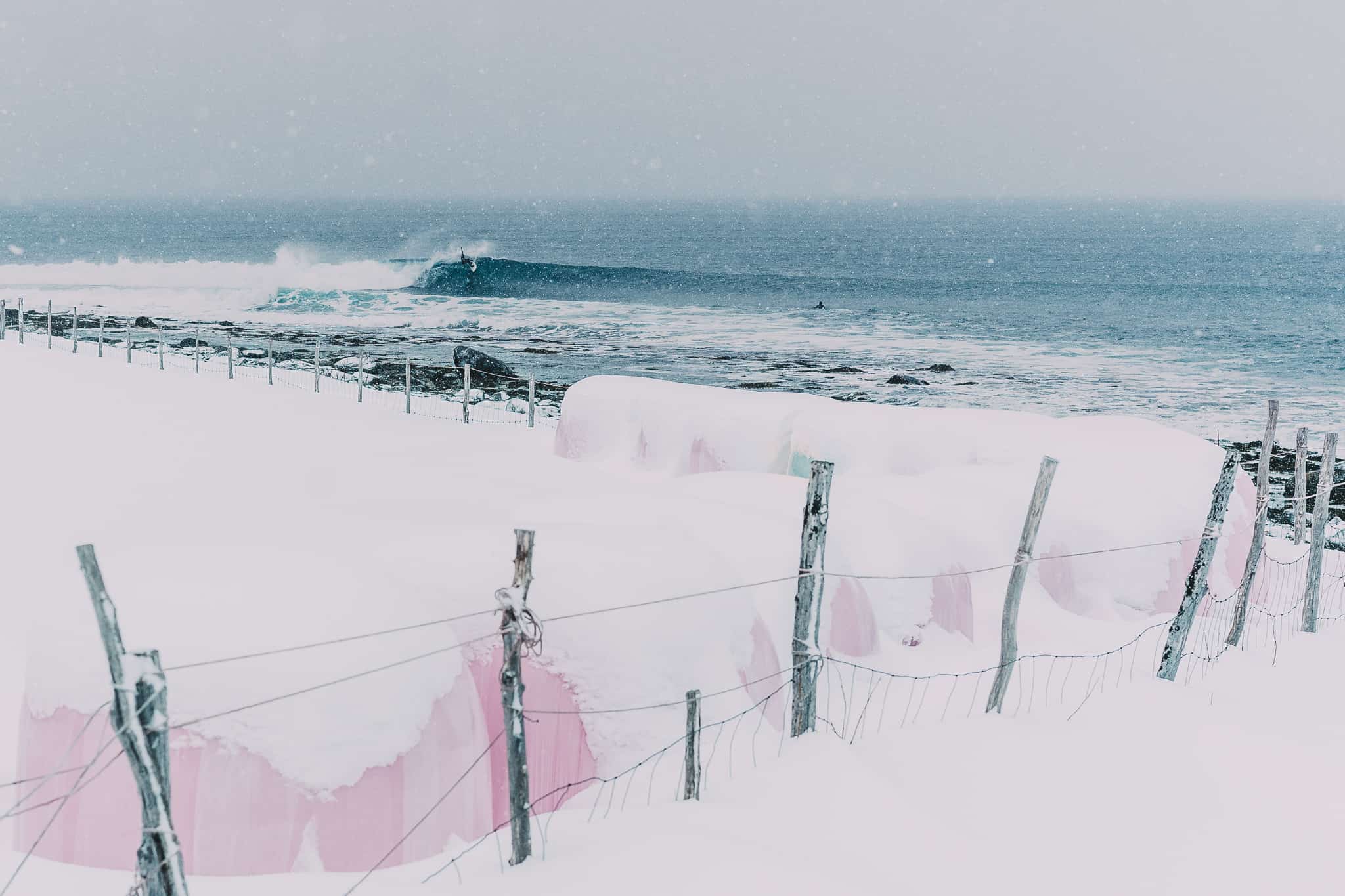 Vinterdrømmer. Foto: Daniel Mikkelsen