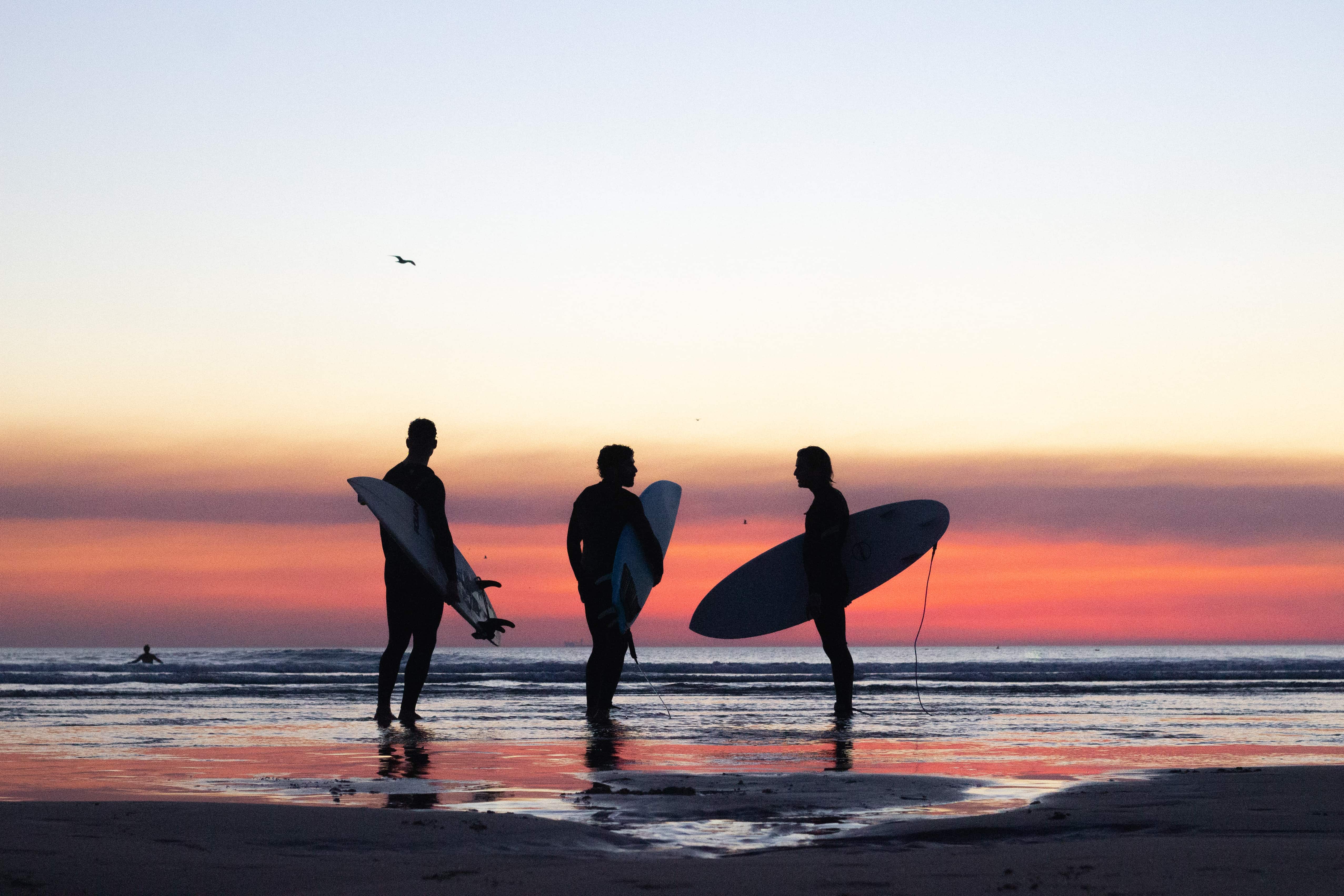 En gjeng med surfere på stranden i solnedgang