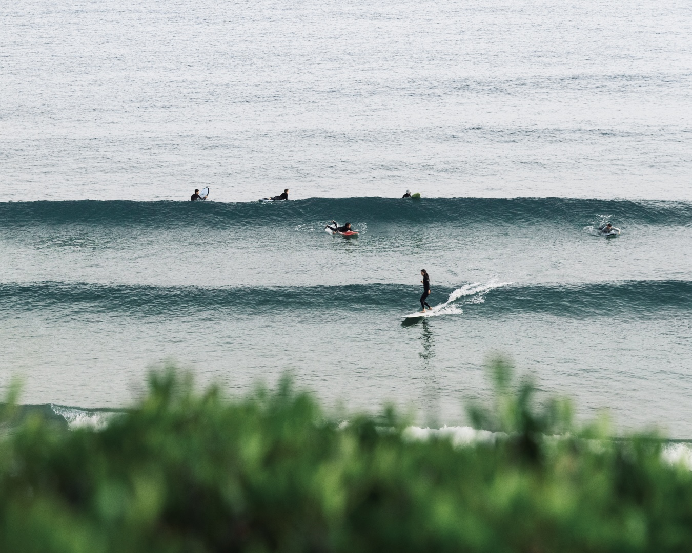 Portugisisk lineup