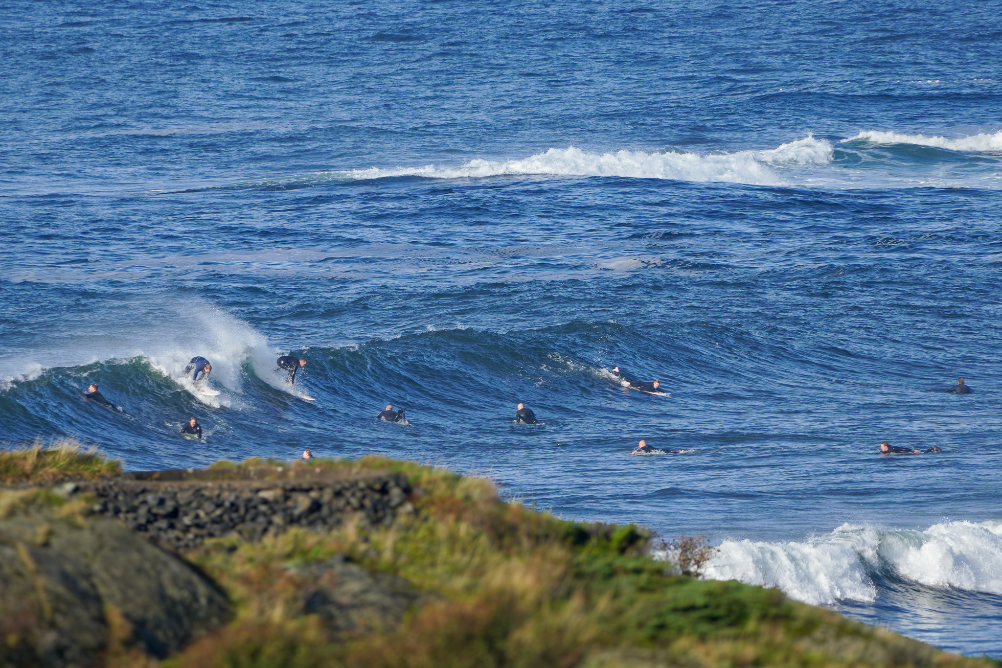 Surf Saltstein