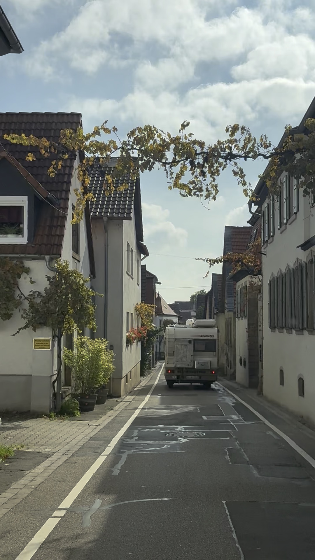 1C474E7D-194C-4802-9A06-2219D15BDBD7_1_102_o