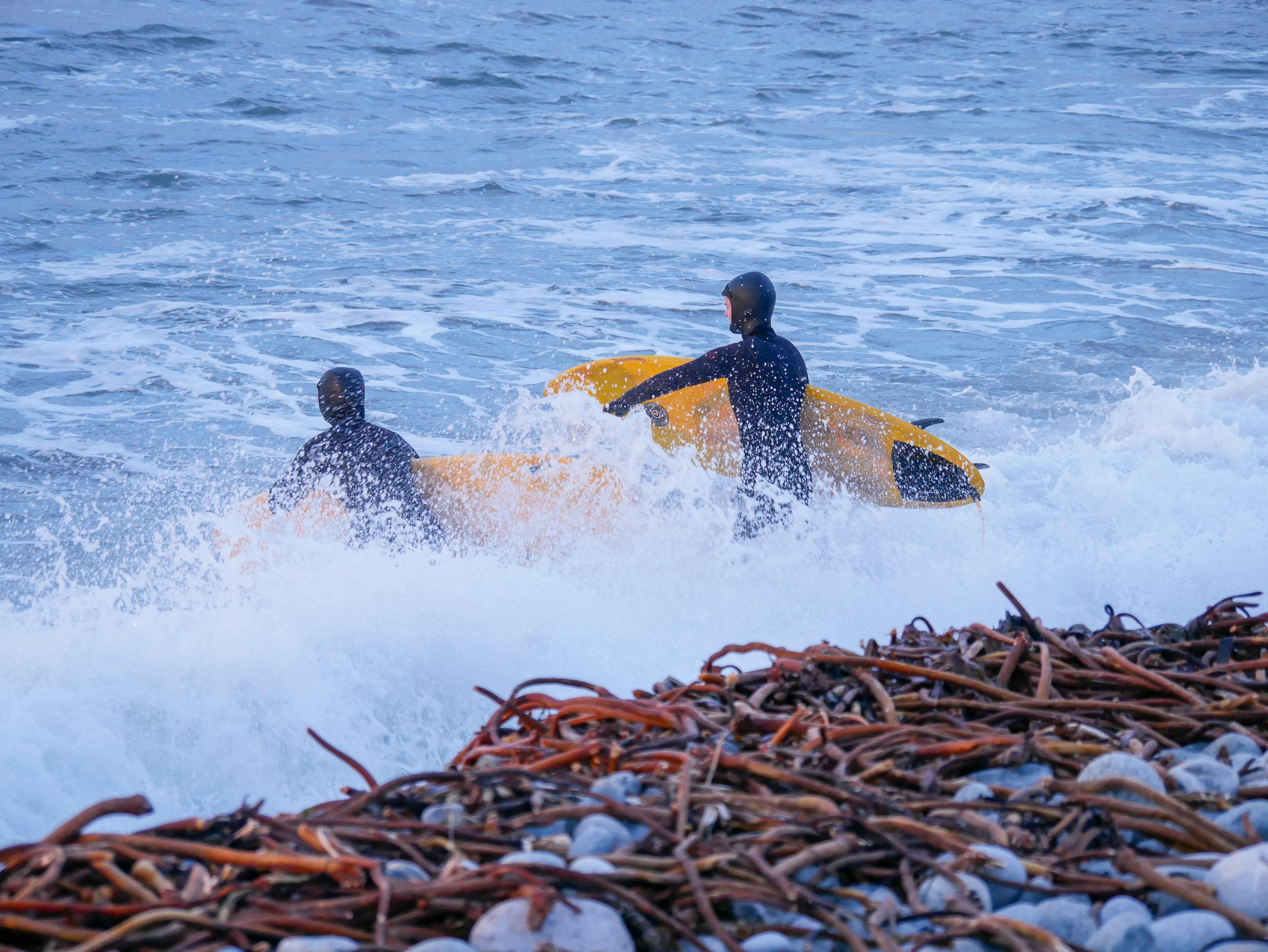 Kaldtvanns-surfing er ikke for sarte sjeler.